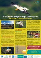 Exhibition banner in Greece: The Egyptian Vulture and man