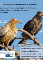 Local Awareness Poster for Greece (2012) - HOS version