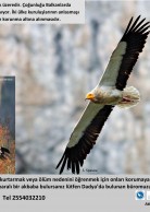 Local Awareness Poster in Turkish (2013)