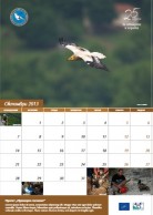 Calendar 2013