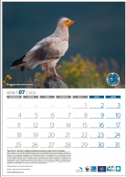 Calendar 2016 (in Bulgarian)